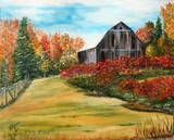 by Joan Stohlman
