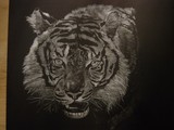 by Paula Almquist
