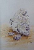 by jill madgwick