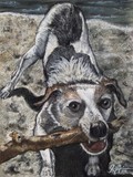 by Jenny Greiner