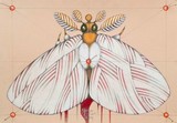 by Federico Cortese
