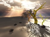 by pipin syaifuddin