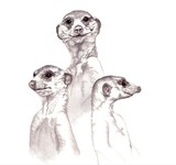 by Holly Kenton