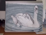 by Thelma Schweizer
