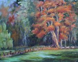 by Joan  Wulff