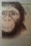 by Cole Soucie