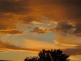 by Debra Kott