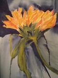 by Fabiene Mader