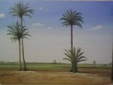by Naeem Mughal