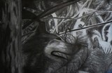 by Rustin Petrae