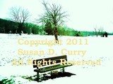 by Susan Curry