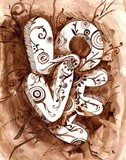 by roya salmani