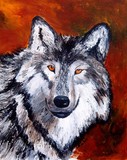 by Tami Booher