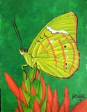 by Sergio  Roffe