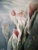 by Henk Bloemhof