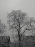 by Tanja Henn