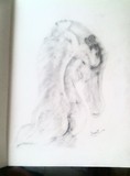 by amit  thakur