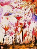 by Snook Berry