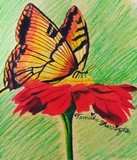 by Tameisha Harrington