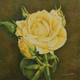 by Ann Lebryk