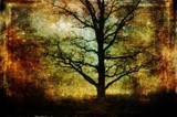 by Randi Grace Nilsberg