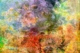 by Bette Cooke