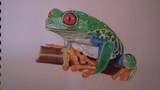 by Debi Ware