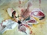 by Dana Koffenberger