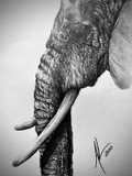 by Autumn Longwell