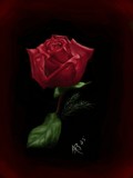 by Autumn Longwell