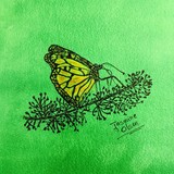 by Jasmine Olsen