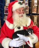 by Santa Cortney