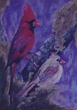 by Susan Marie Pieri