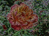 by Lyle  Kroll