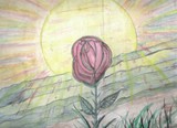by carla Whitham (Vigneau)