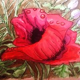 by Barbara Simcoe