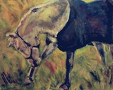 by Mieke  van Zundert