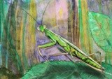 by Alina Contis