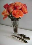 by Gayle Taylor