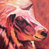 by connie van winssen