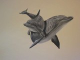 by Lily Ou