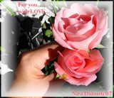 by Nira Dabush