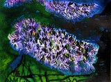 by Nira Dabush