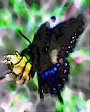 by RUBY REDWINE
