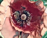 by Ginger Olansen