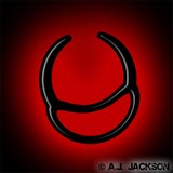 by Andrew Jackson
