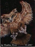 by Pauline Ross