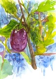 by Kamalakkannan Ramamurthy