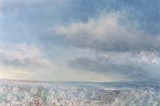 by Michael Cook