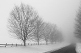 by Frederick Peck